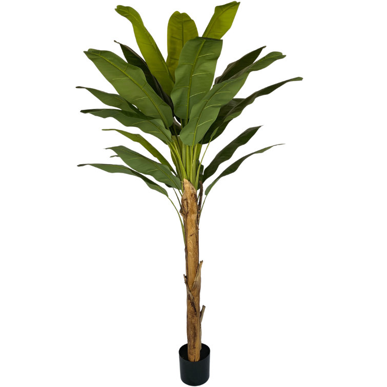 Primrue 6' Artificial Banana Tree in Plastic Pot Wayfair Canada